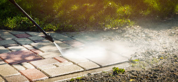 Animal Enclosure Cleaning in Hayward, WI